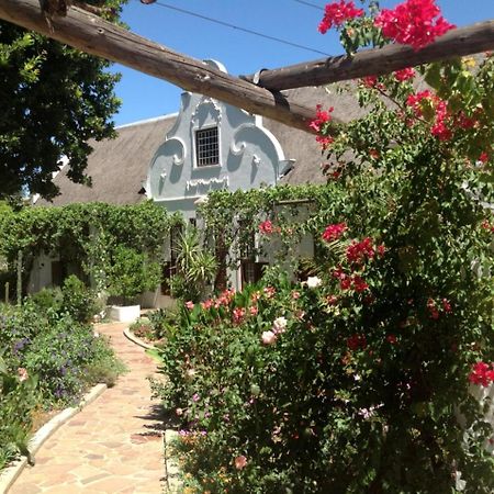 فندق Wittedrift Manor House تولباغ المظهر الخارجي الصورة