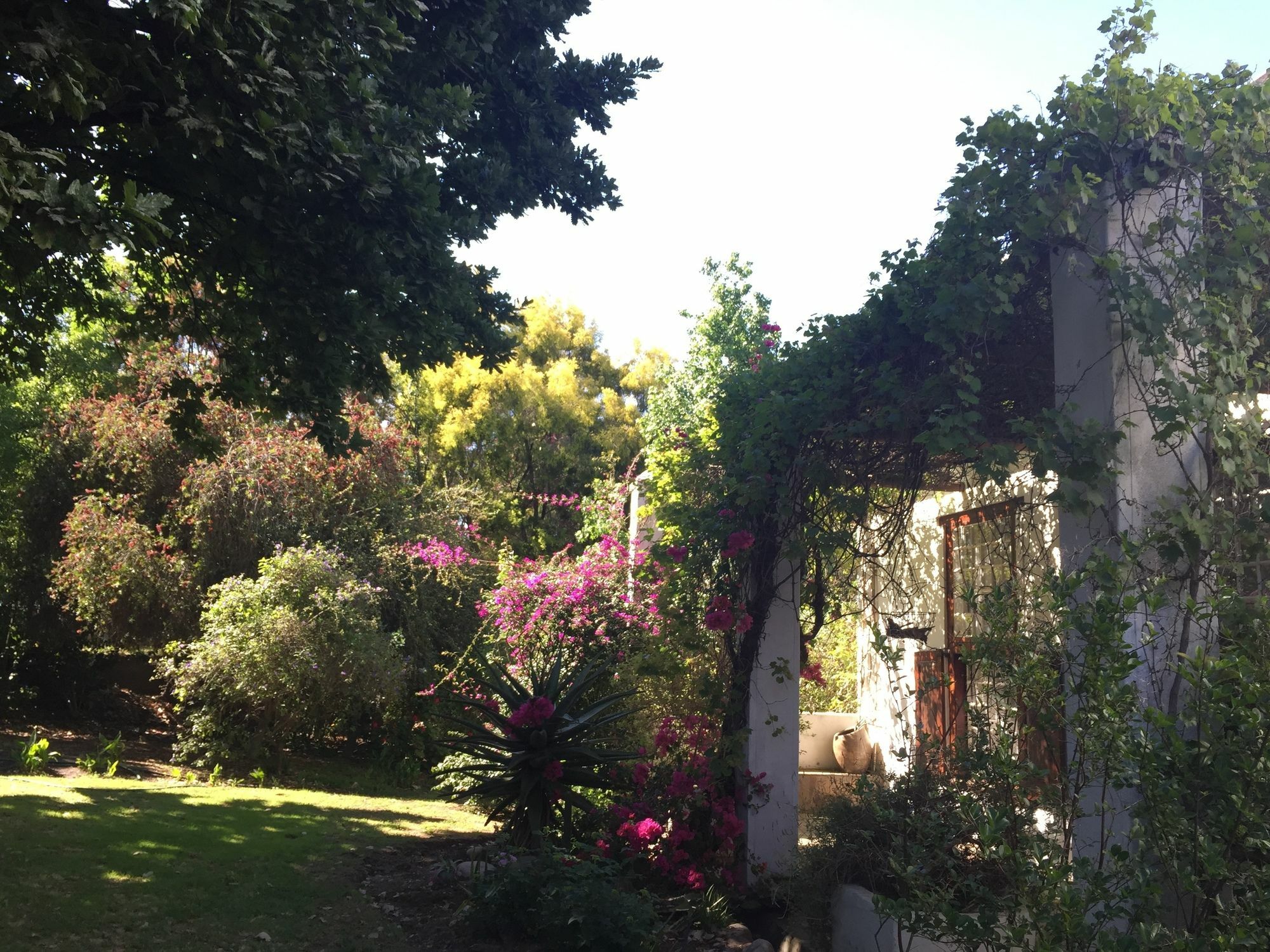 فندق Wittedrift Manor House تولباغ المظهر الخارجي الصورة